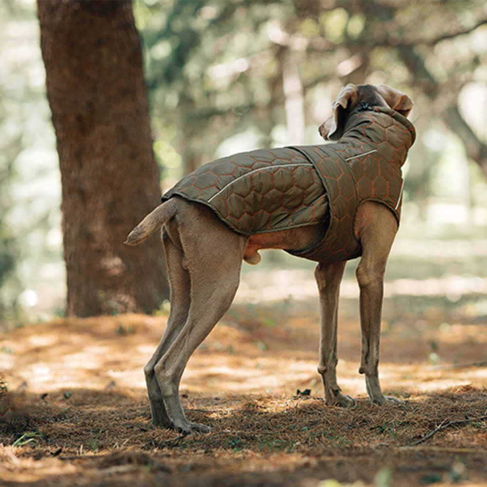 Gilet d'extérieur matelassé pour chien – Chaud et durable pour la randonnée et les aventures