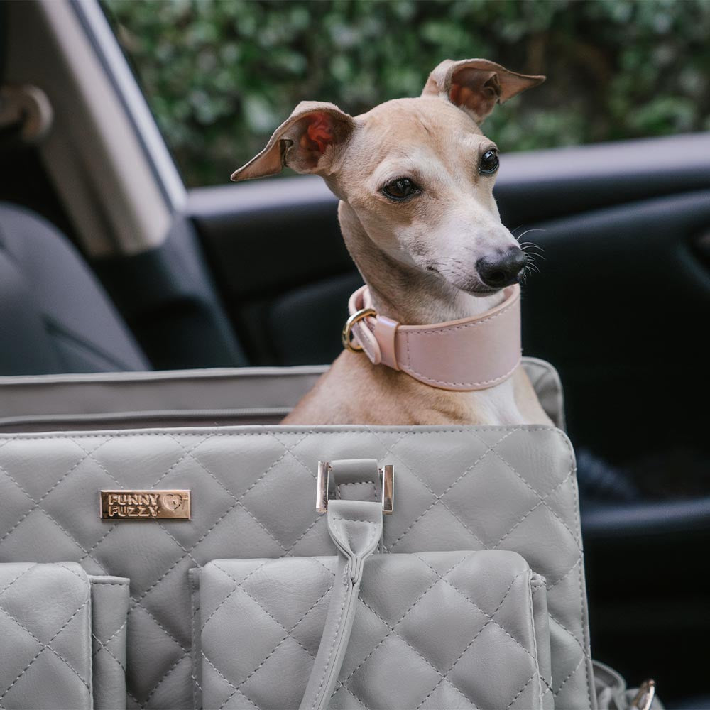 Grand sac de transport élégant et multifonctionnel pour animaux de compagnie, voyage partagé homme-chien - Queue errante