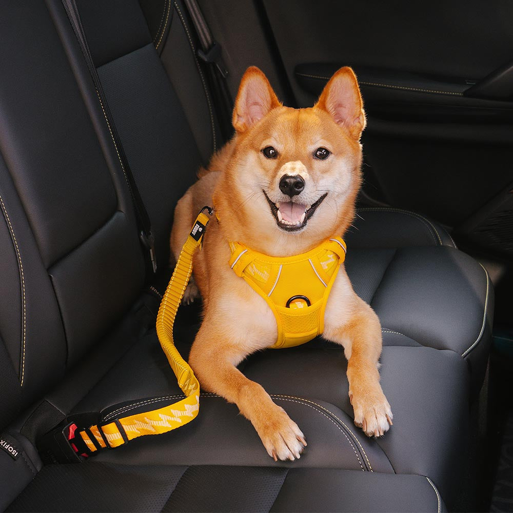 Car Seat Belt Buffer Adjustable Cool Dog Accessories - FUNNYFUZZY