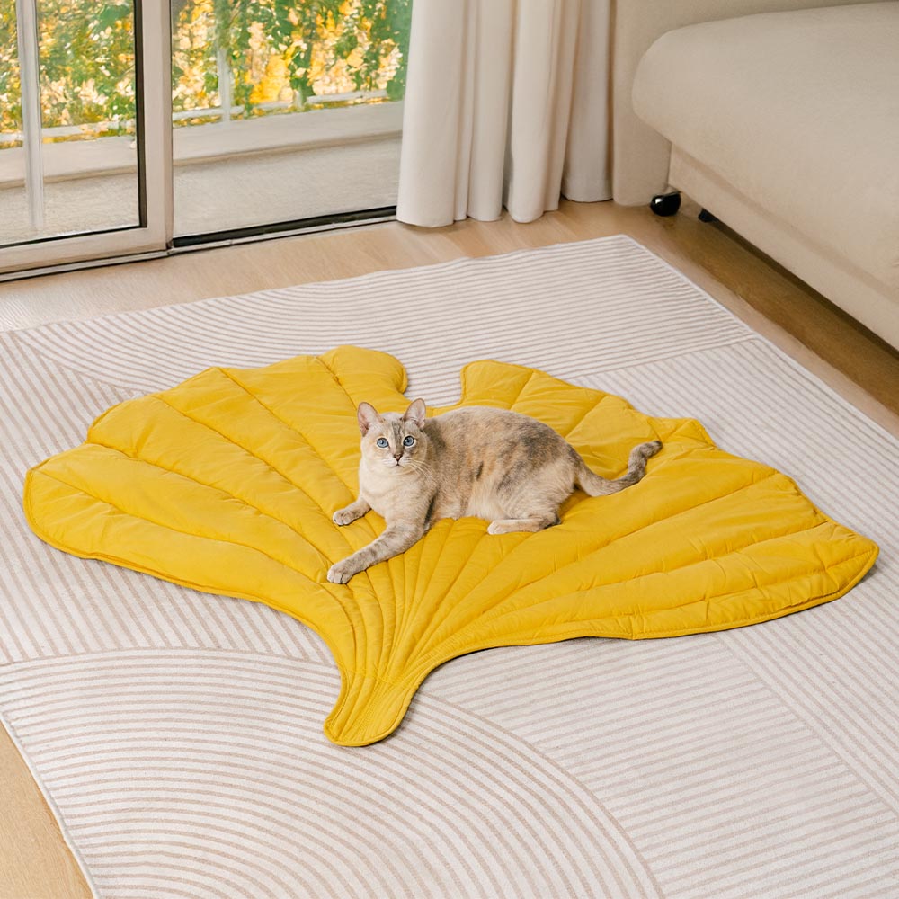 Couverture pour chien en forme de feuille