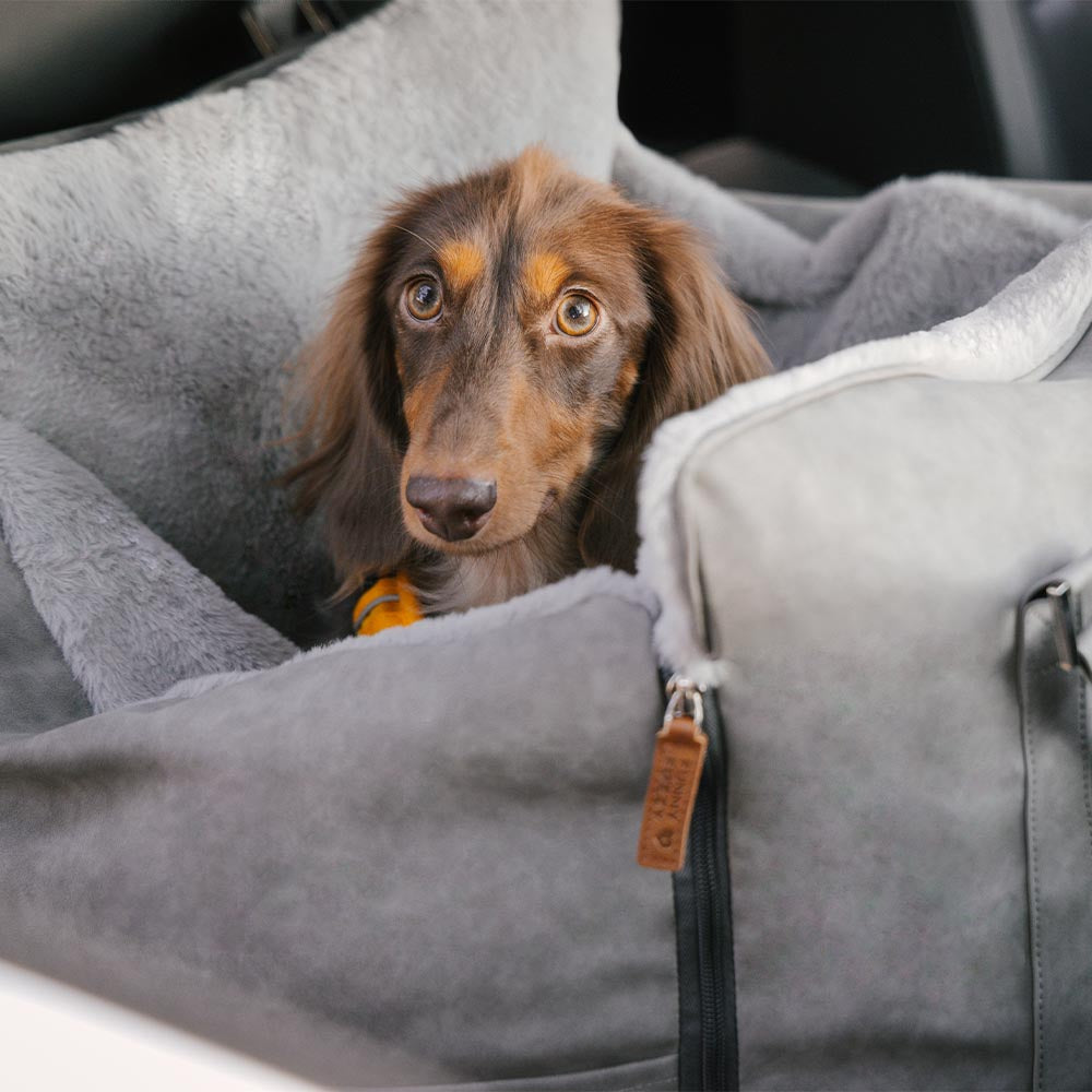 Grand siège d'auto rehausseur de transport pour chien, moelleux, chaud et sûr, antidérapant, Ride et Rover