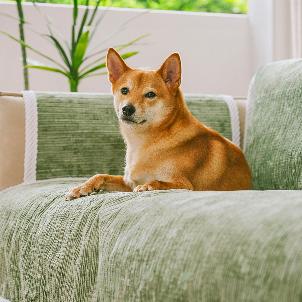 All-Season Anti-Slip Striped Pet Rug Furniture Protector with Armrest Couch Cover - Keep Still