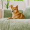All-Season Anti-Slip Striped Pet Rug Furniture Protector with Armrest Outdoor Sofa Cover - Keep Still