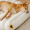 Large Washable Creamy Cozy Flat Dog Beds - Cheesecake