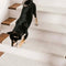 New Zealand Wool Blend Stair Protectors Tape Free Washable Carpet Stair Treads