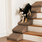 Modular Foam Dog Ramp Stairs for Staircase Stairs with Velcro
