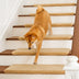 Solid Colour Plush Stair Protectors Non-Slip Tape Free Carpet Stair Treads