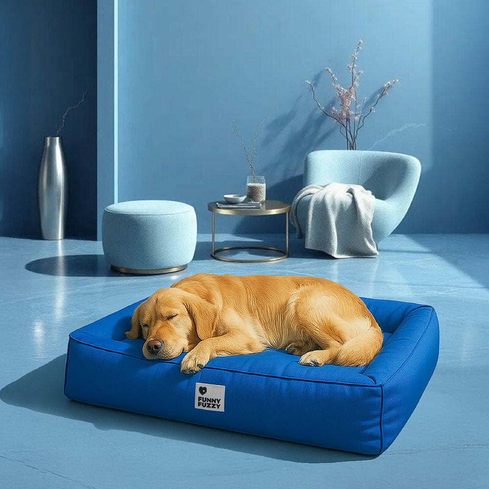 Fully Orthopedic Surround Support Waterproof Large Dog Bed