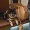 Vogue Eco-friendly Dupont Waterproof Pet Carrier - City Roamer