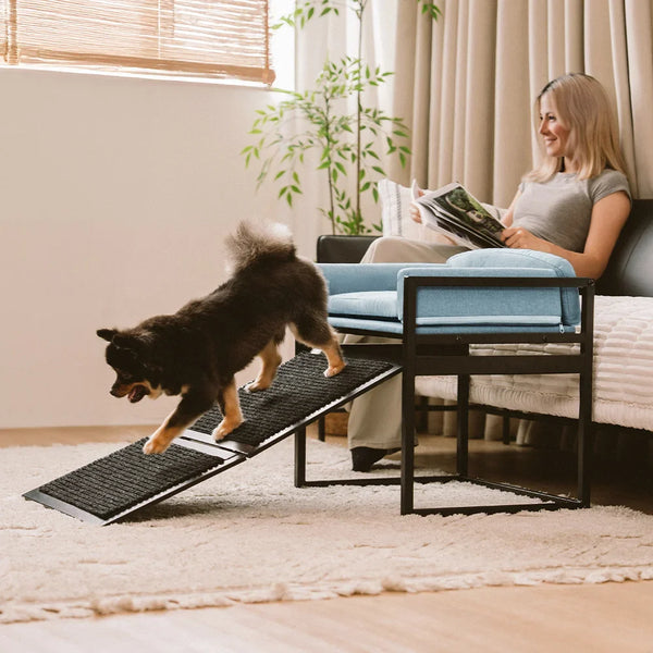 Elevated Pet Sofa Bed with Stairs Ramp for Bedside Lounge or Dog Window Perch