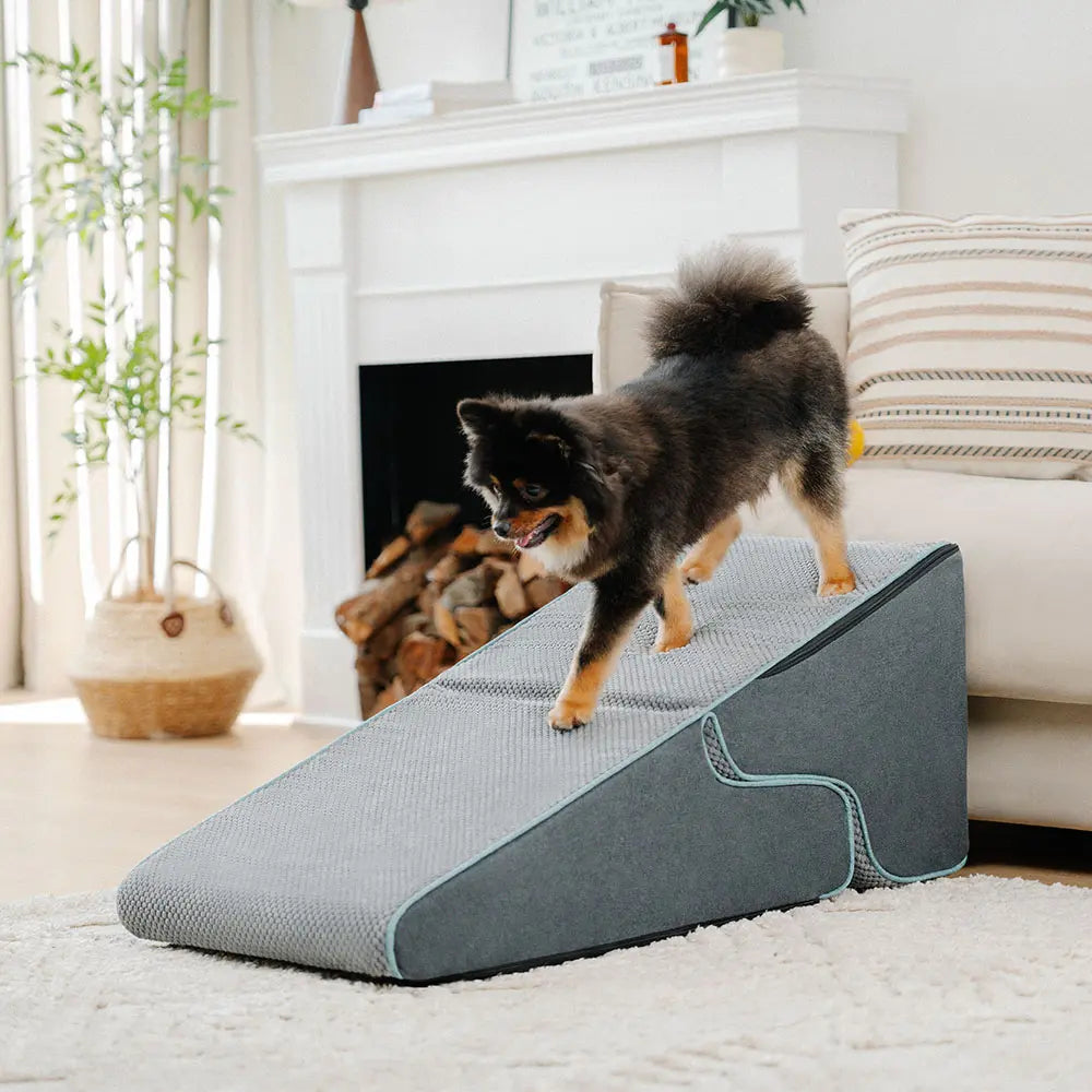 Multifunctional 2-in-1 Foldable Dog Stairs with Ramp Mode