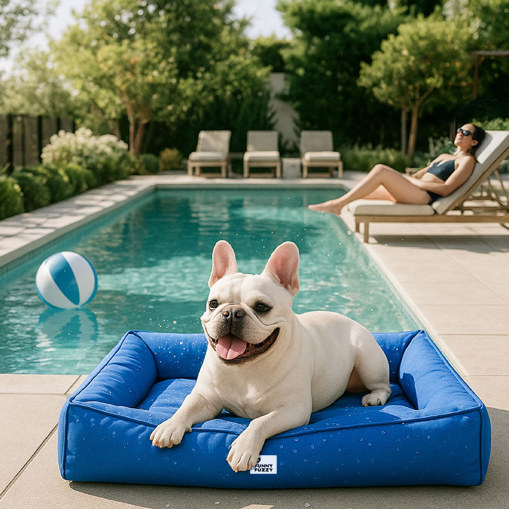 Fully Orthopedic Surround Support Waterproof Large Dog Bed