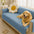 Waterproof Non-Slip Furniture Protector Pet Outdoor Sofa Cover-Slipsafe