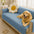 Waterproof Non-Slip Furniture Protector Pet Sofa Cover-Slipsafe