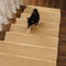 Solid Colour Plush Stair Protectors Non-Slip Tape Free Carpet Stair Treads