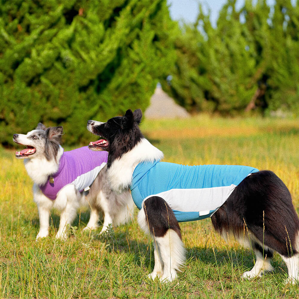 Pet Dog Clothes Outdoor Contrast Color Sun Hat & Cooling Sun Tank Vest