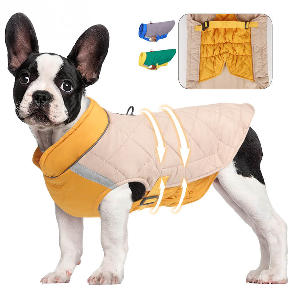 Veste matelassée réglable pour chien – Chaude et sûre pour les promenades hivernales