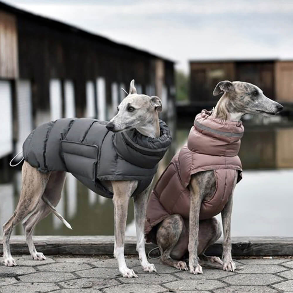 Gilet chaud imperméable et coupe-vent – ​​Le nec plus ultra en matière de chaleur et de style hivernal