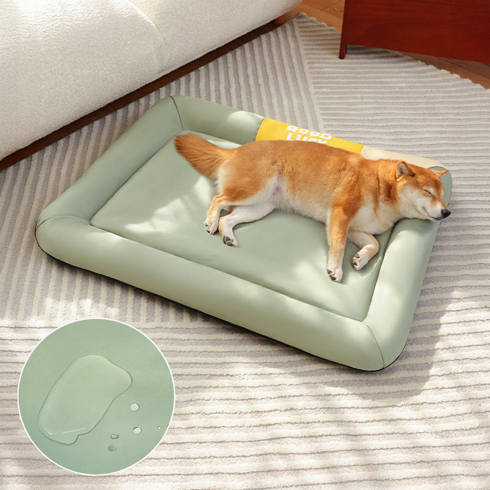 Colorblock Waterproof Scratch-Resistant All-Season Dog Mat