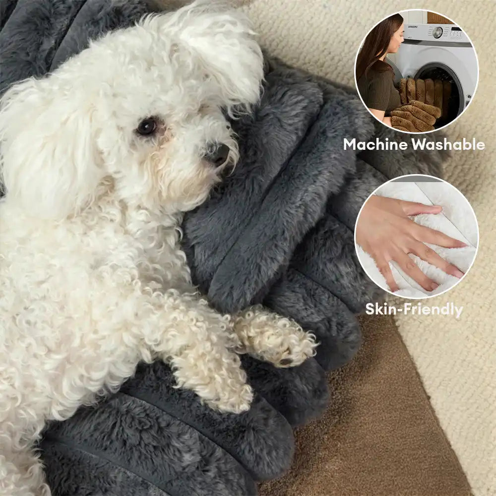 Plush Fluffy Thick Comfort Calming Dog Bed with Pillow