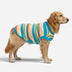 Colour Blocked Striped Dog Sweater-Suitable For Large Dogs
