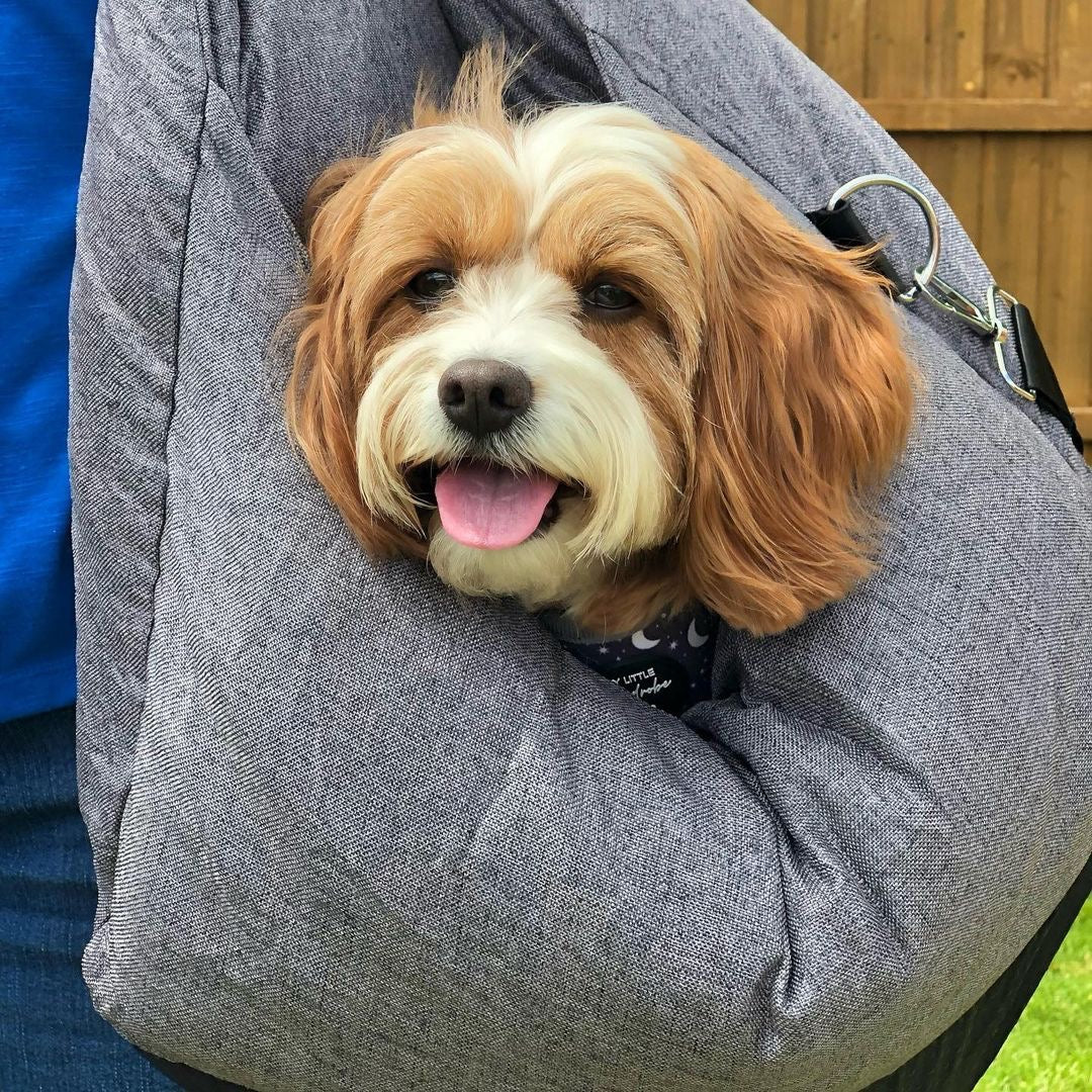 Lit de siège d'auto pour chien - Première classe