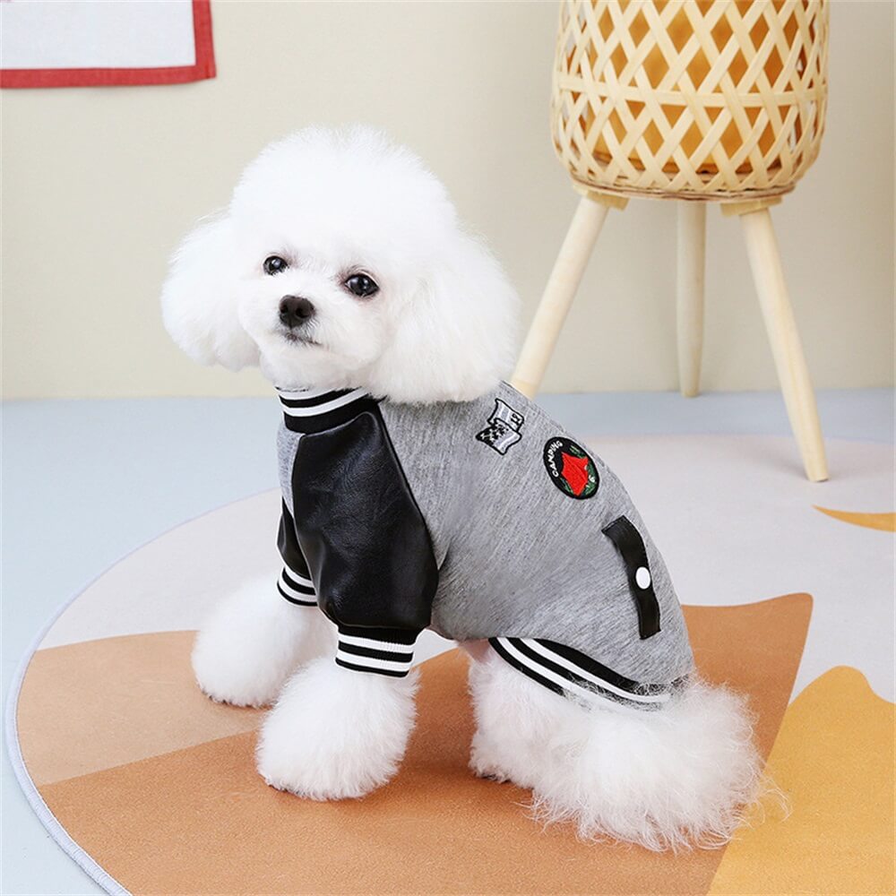 Trendy Dog Varsity Jacket - Stylish and Fun for Small Dogs