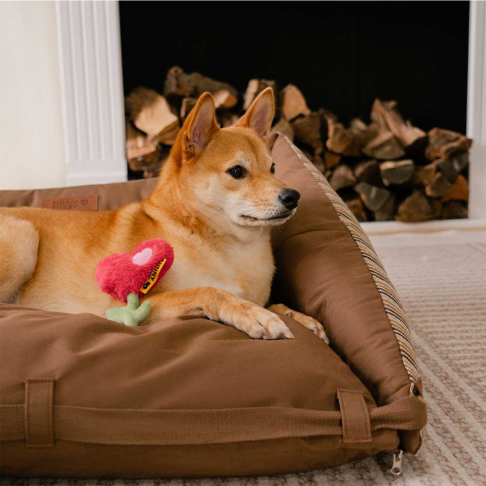 Striped Natural Folding Washable Mat Sofa Dog Bed - Mocca Pup Lounger