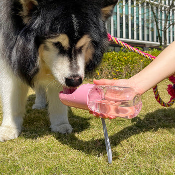 Portable Outdoor Dog Water Bottle - FUNNYFUZZY