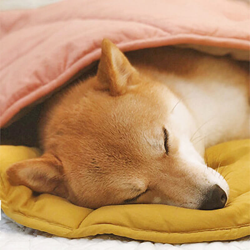 Leaf Shape Dog Blanket - FUNNYFUZZY