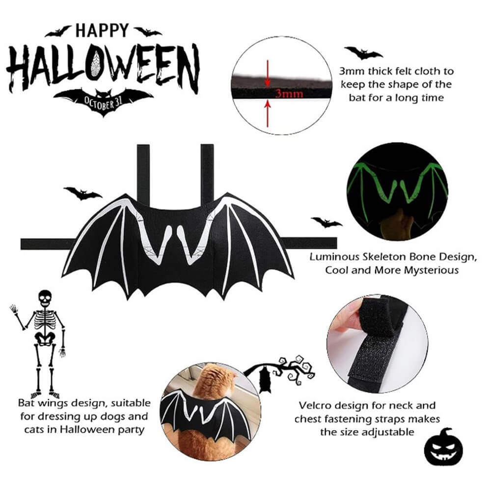 Costume d'Halloween pour chien avec ailes de chauve-souris et crâne lumineux | Accessoires de jeu de rôle pour animaux de compagnie