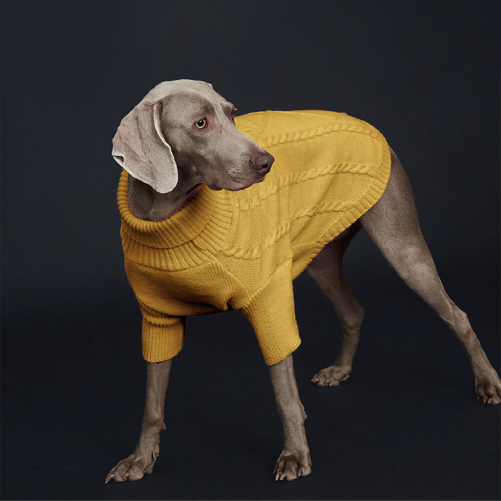 Pull pour chien en tricot torsadé – Chaud et élégant pour les grandes races