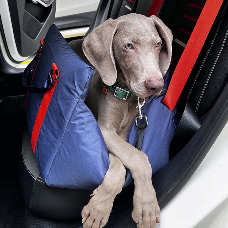 Lit de siège de voiture amovible pour chien, siège de voiture avant pour animaux de compagnie en tissu Oxford