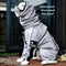 Reflective All-weather Waterproof Cool Dog Accessories Rain Coat - FUNNYFUZZY