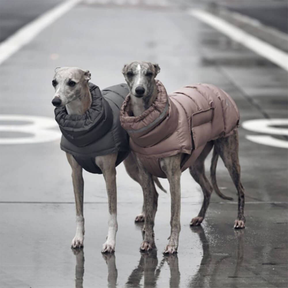 Gilet chaud imperméable et coupe-vent – ​​Le nec plus ultra en matière de chaleur et de style hivernal