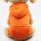 Sweats à capuche colorés et confortables pour chien – Parfaits pour un confort par tous les temps.