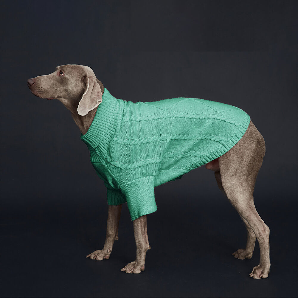 Pull pour chien en tricot torsadé – Chaud et élégant pour les grandes races