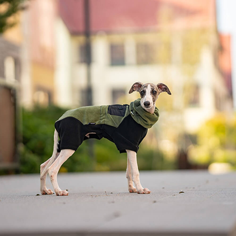 Combinaison pour chien en polaire à couverture complète avec collier amovible