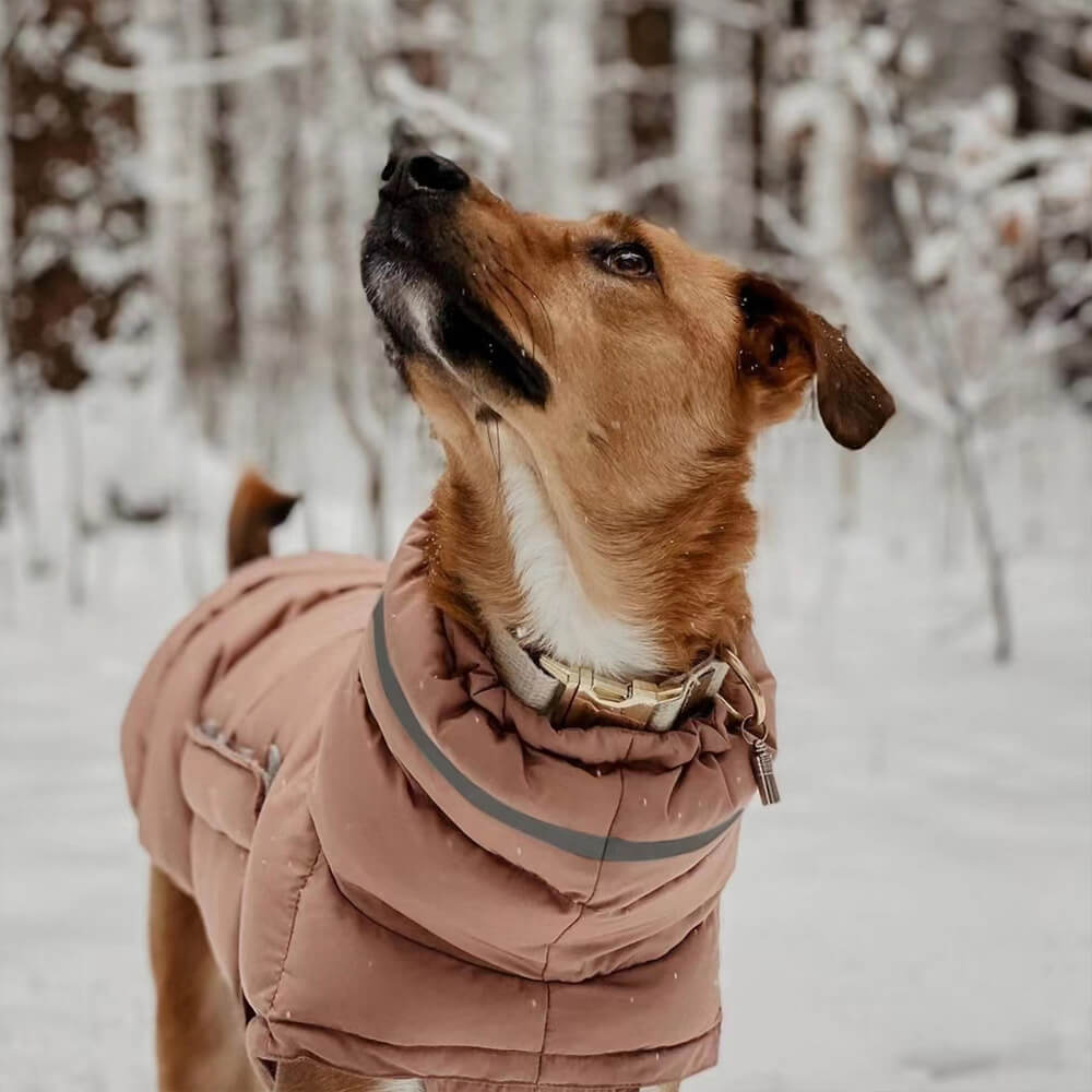 Gilet chaud imperméable et coupe-vent – ​​Le nec plus ultra en matière de chaleur et de style hivernal