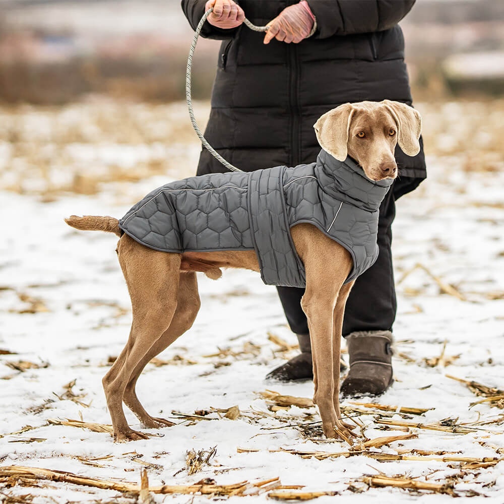 Gilet d'extérieur matelassé pour chien – Chaud et durable pour la randonnée et les aventures