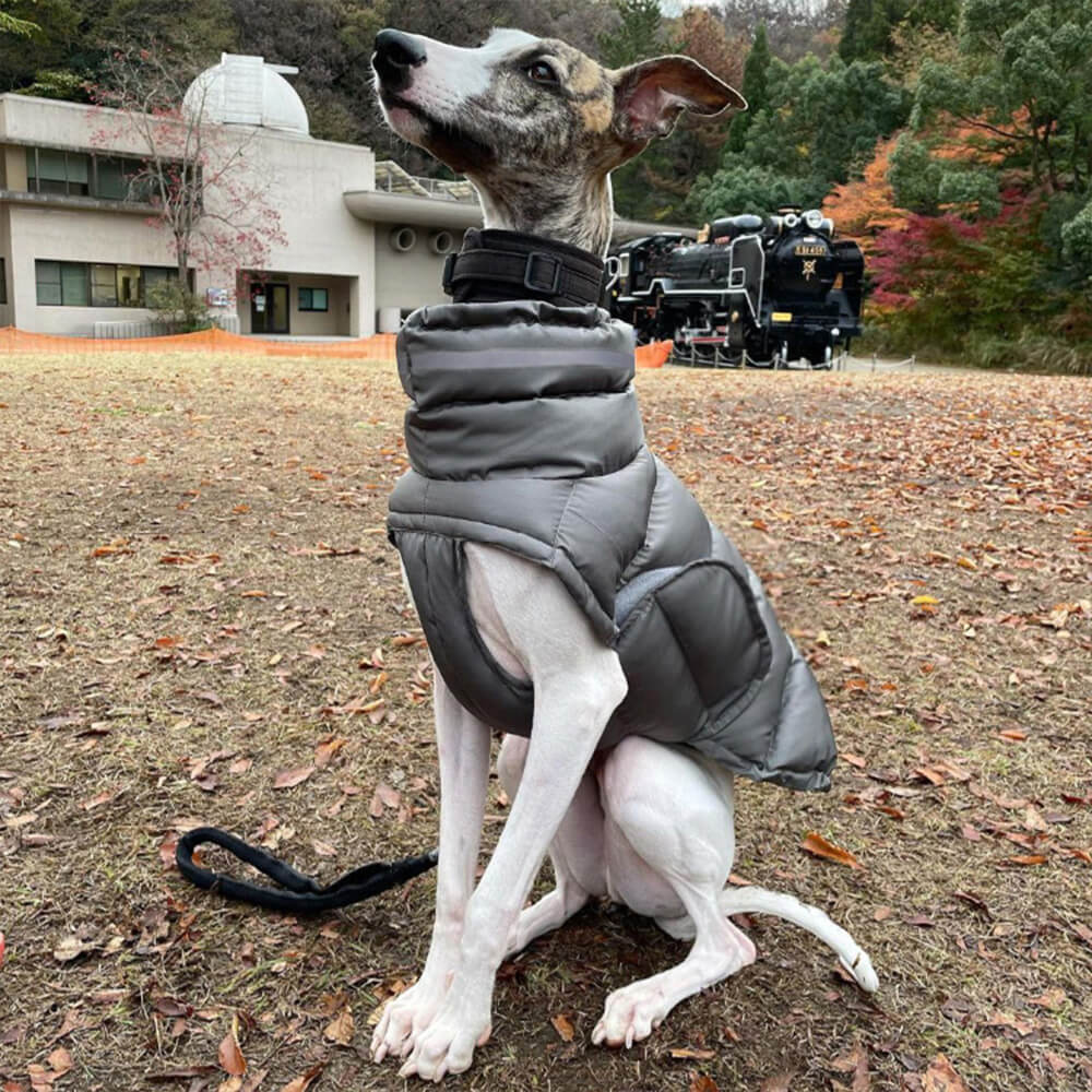 Gilet chaud imperméable et coupe-vent – ​​Le nec plus ultra en matière de chaleur et de style hivernal