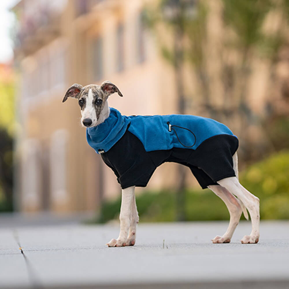 Combinaison pour chien en polaire à couverture complète avec collier amovible