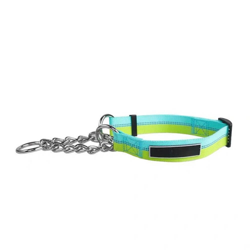 Colorful Dog Leash Collar - High Strength Nylon