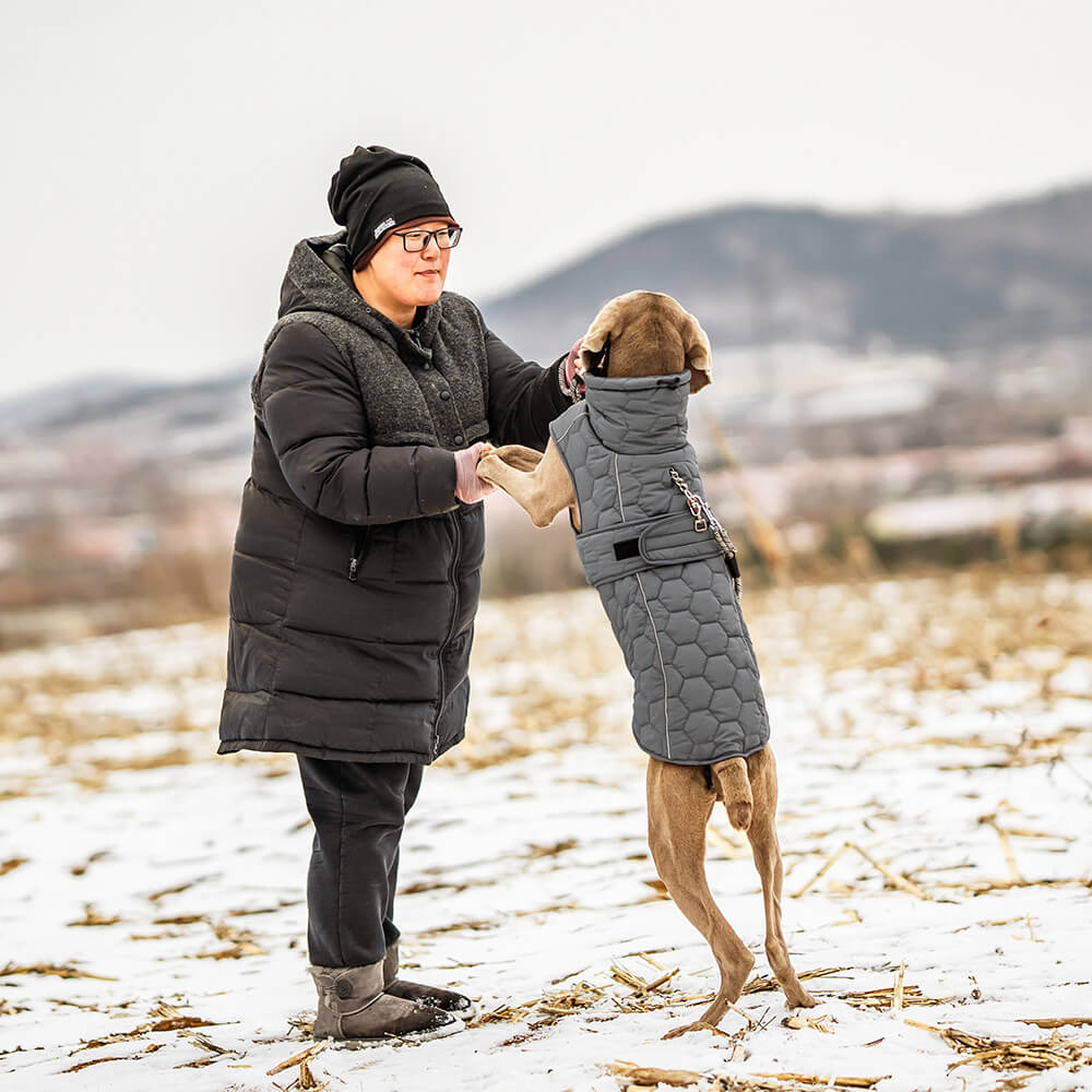 Gilet d'extérieur matelassé pour chien – Chaud et durable pour la randonnée et les aventures