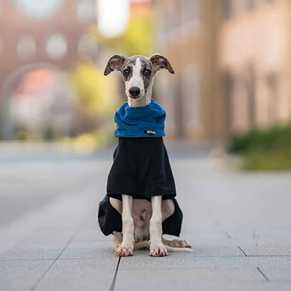 Combinaison pour chien en polaire à couverture complète avec collier amovible