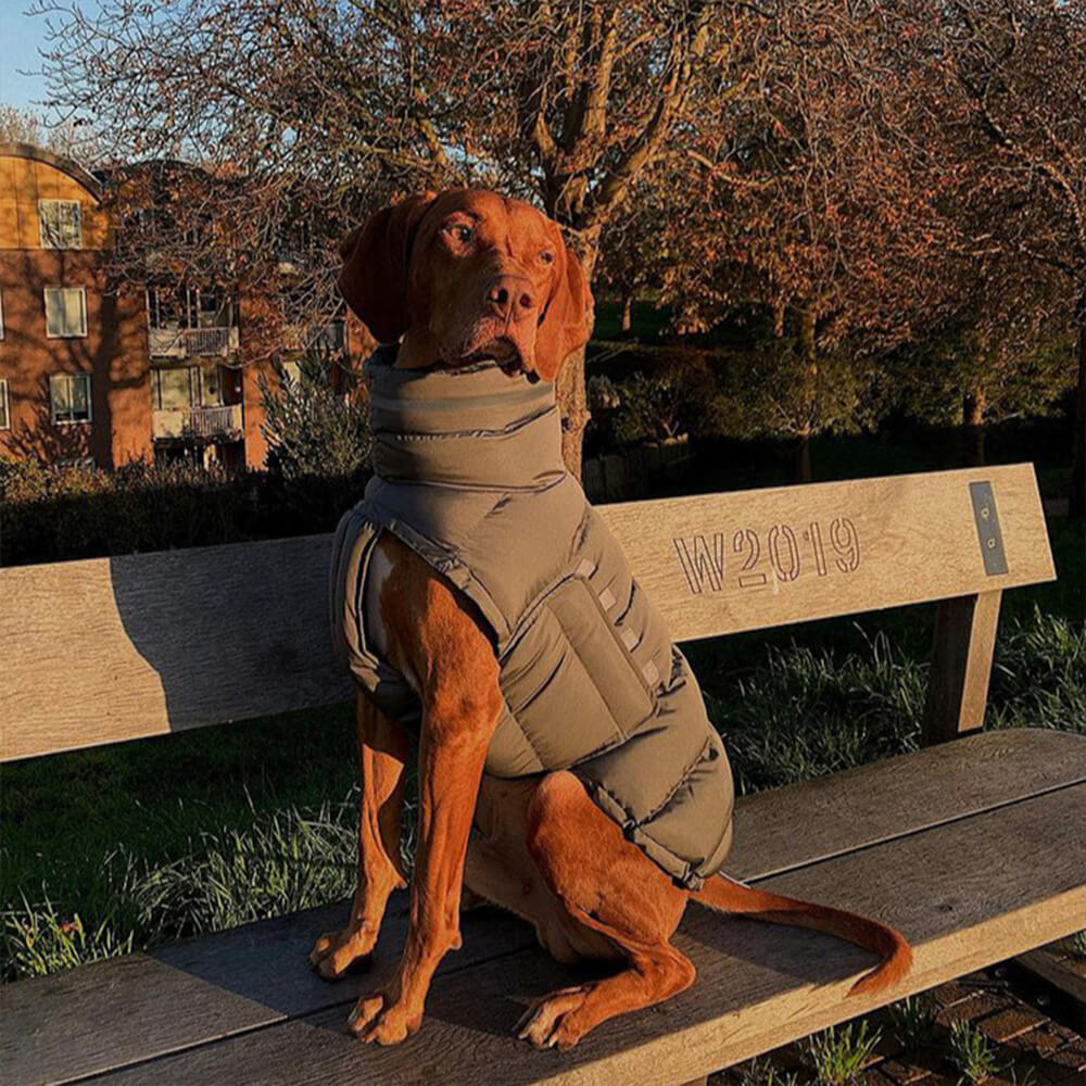 Gilet chaud imperméable et coupe-vent – ​​Le nec plus ultra en matière de chaleur et de style hivernal