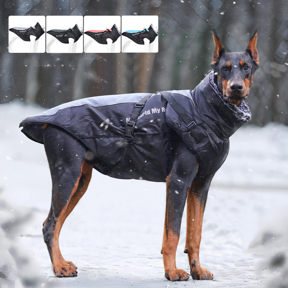 Manteau d'hiver réfléchissant coupe-vent pour chien – Chaleur et sécurité ultimes pour les grands chiens