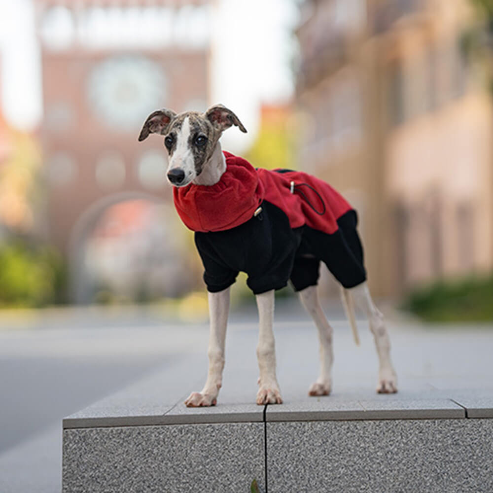 Combinaison pour chien en polaire à couverture complète avec collier amovible