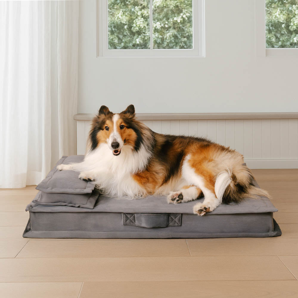 Anti-anxiété avec support en éponge Lit pour chien à sommeil profond