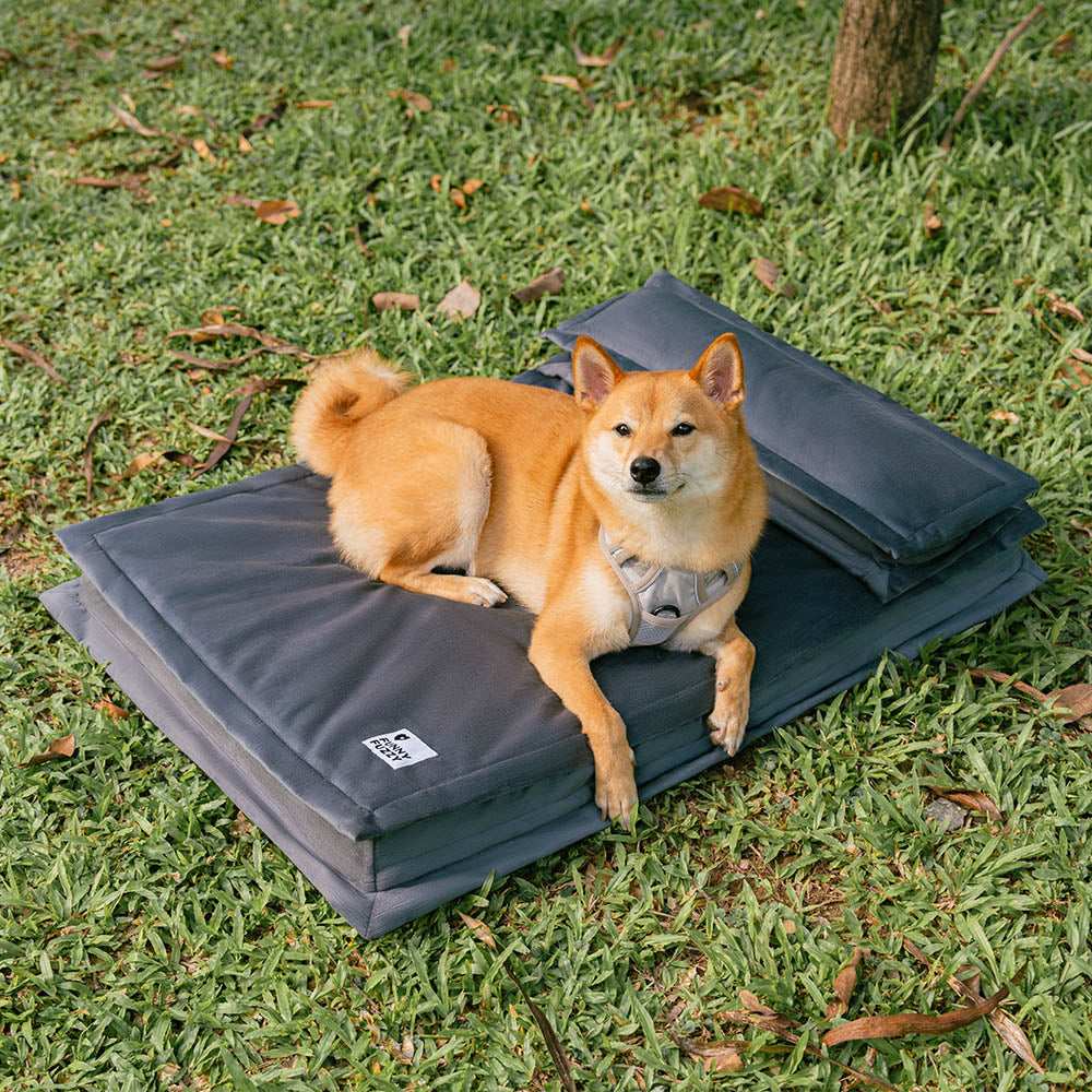 Anti-anxiété avec support en éponge Lit pour chien à sommeil profond